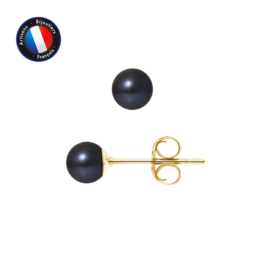 PERLINEA- Boucle d'Oreilles- Perles de Culture d'Eau Douce Ronde 5-6 mm Black Tahiti- Bijou Femme- OrJaune